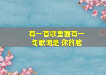 有一首歌里面有一句歌词是 你的脸